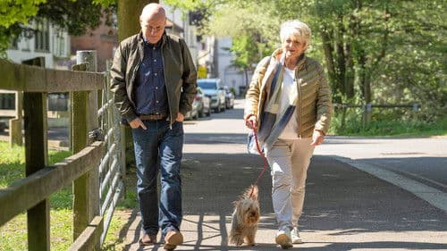 Mit Herz und Hund Bild 6