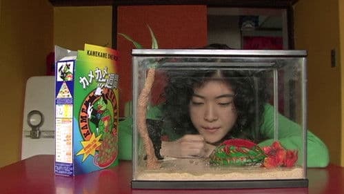 亀は意外と速く泳ぐ Bild 5