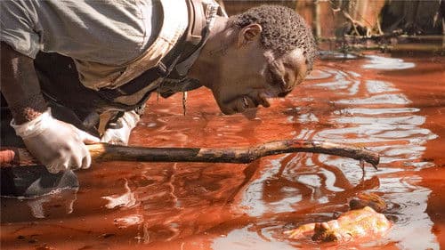 The Reaping - Die Boten der Apokalypse Bild 7