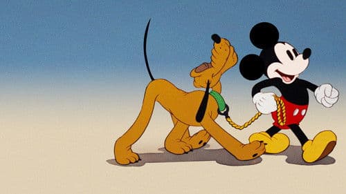 Die Hundeausstellung Bild 1