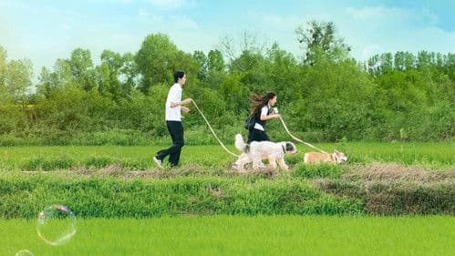 소년 소녀 연애하다 Bild 4