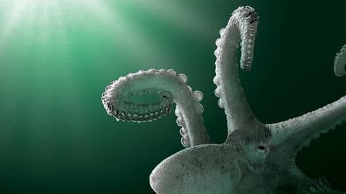 Aliens of the Deep Sea Bild 1