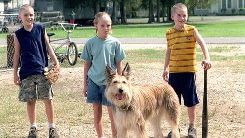 Winn-Dixie - Mein zotteliger Freund Bild 7