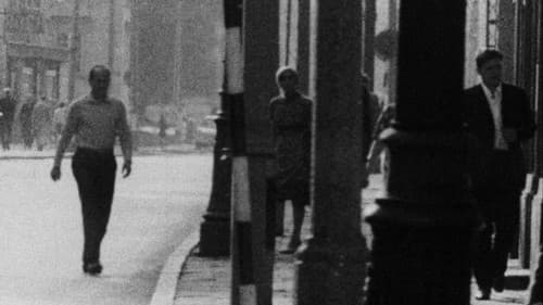 Zwyczajny kraj Bild 3