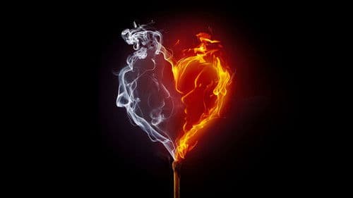 Desperately Seeking Soulmate: Escaping Twin Flames Universe Bild 2