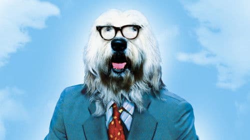 Zotti, das Urviech Bild 8