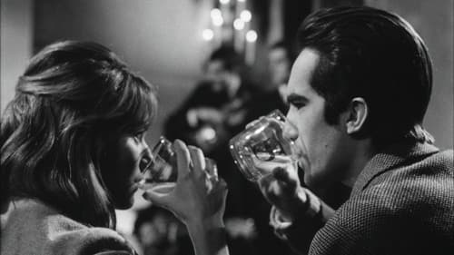 Noche de vino tinto Bild 1