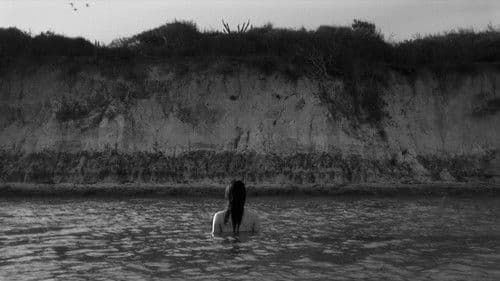 Passos no Silêncio Bild 2