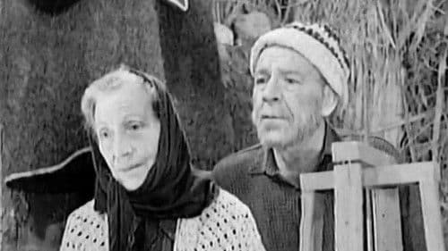 Εξομολόγησις μιας μητέρας Bild 1