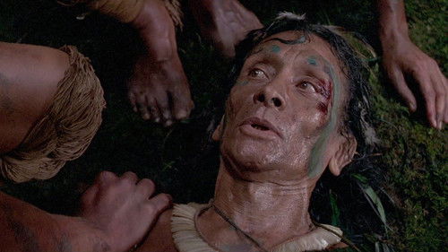 Der Smaragdwald Bild 3