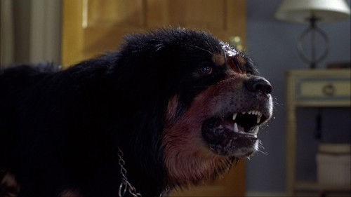 Der Tod kommt auf vier Pfoten Bild 5