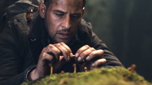 Die dunkle Seite des Mondes Bild 2