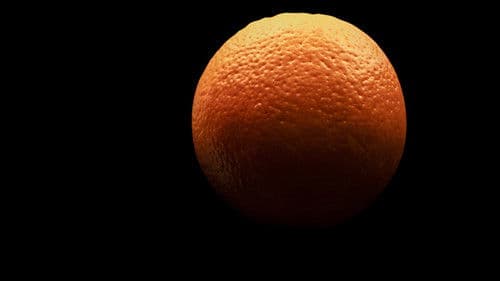 Eine Runde Applaus Bild 2