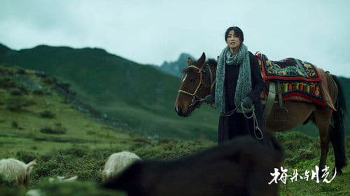 梅朵与月光 Bild 6