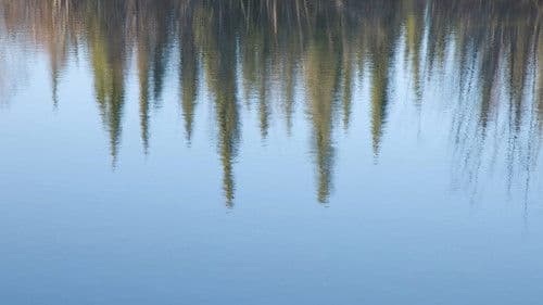 The Story of a Slough Bild 5