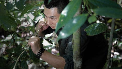 Counter Attack Bild 7