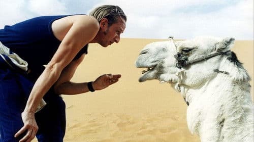 Ball & Chain - Zwei Nieten und sechs Richtige Bild 5