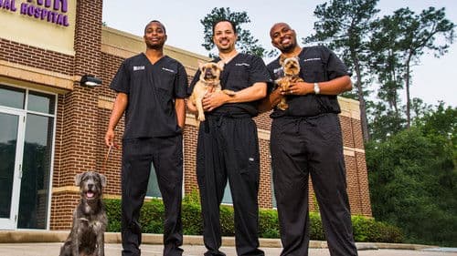 Die Tierärzte von Houston Bild 2