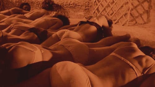 Das Erwachen der Bestie Bild 8