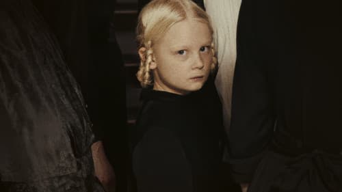 In die Sonne schauen Bild 1