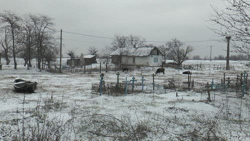 Dialoguri de baltă Bild 1