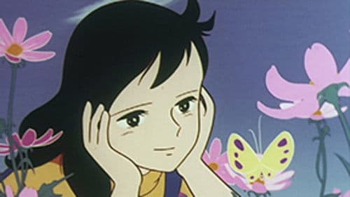 ユキの太陽 Bild 2