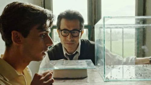 Il signore delle formiche Bild 4