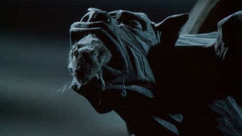 Der Rattenfänger von Hameln Bild 1