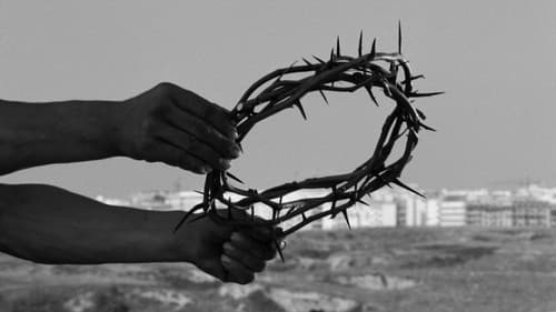 Der Weichkäse Bild 5