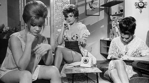 ...mit Damenbedienung Bild 4