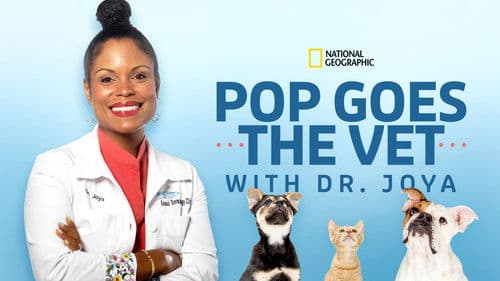 Pop Goes the Vet with Dr. Joya Bild 5
