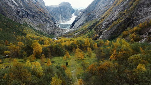 Lieder der Erde Bild 2