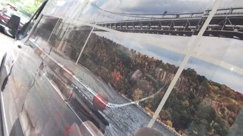 Foliage in Moving Car Window Bild 1