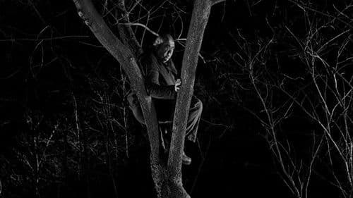 Die Tür mit den sieben Schlössern Bild 8