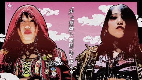 スターダムドリームクイーンダム Bild 2