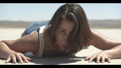 A Patch Of Desert Bild 1