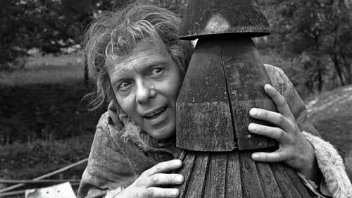 Słońce wschodzi raz na dzień Bild 3