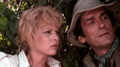 Hungrige Skorpione Bild 1