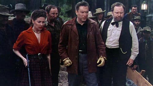 Die silberne Stadt Bild 6