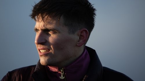 Schrottplatzköter Bild 1