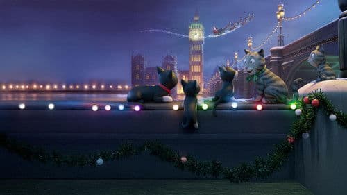 Tommi Tatze, die singende Katze Bild 1