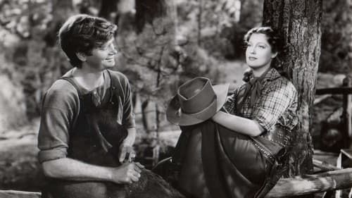 Im goldenen Westen Bild 4