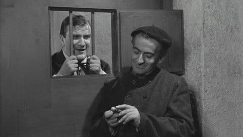 Fisch oder Fleisch Bild 8