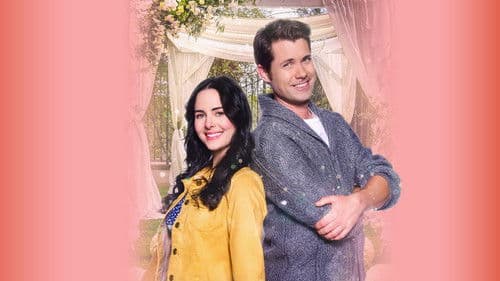 Die Hochzeit meiner Chefin Bild 1