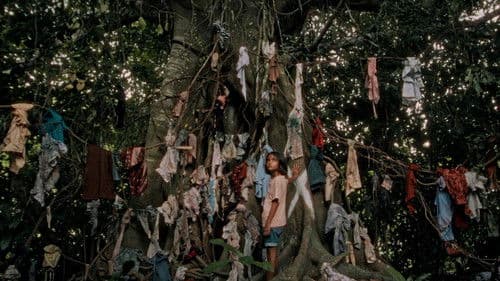 Bisan Abo, Wala Bilin Bild 1