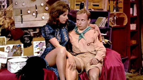 Moneten für’s Kätzchen Bild 2