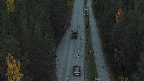 Lumipalloefekti Bild 1