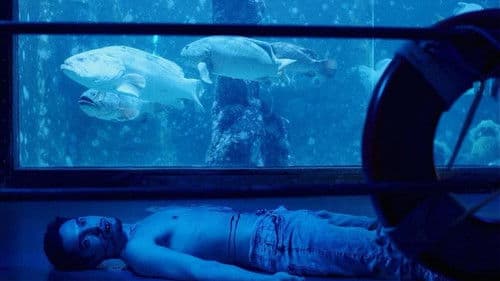 Labirinto dos Garotos Perdidos Bild 2