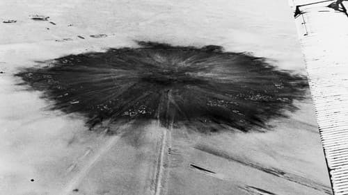 Gerboise Bleue Bild 7