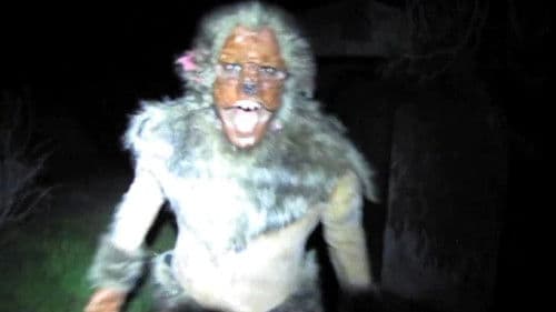 We Found Something Bild 1